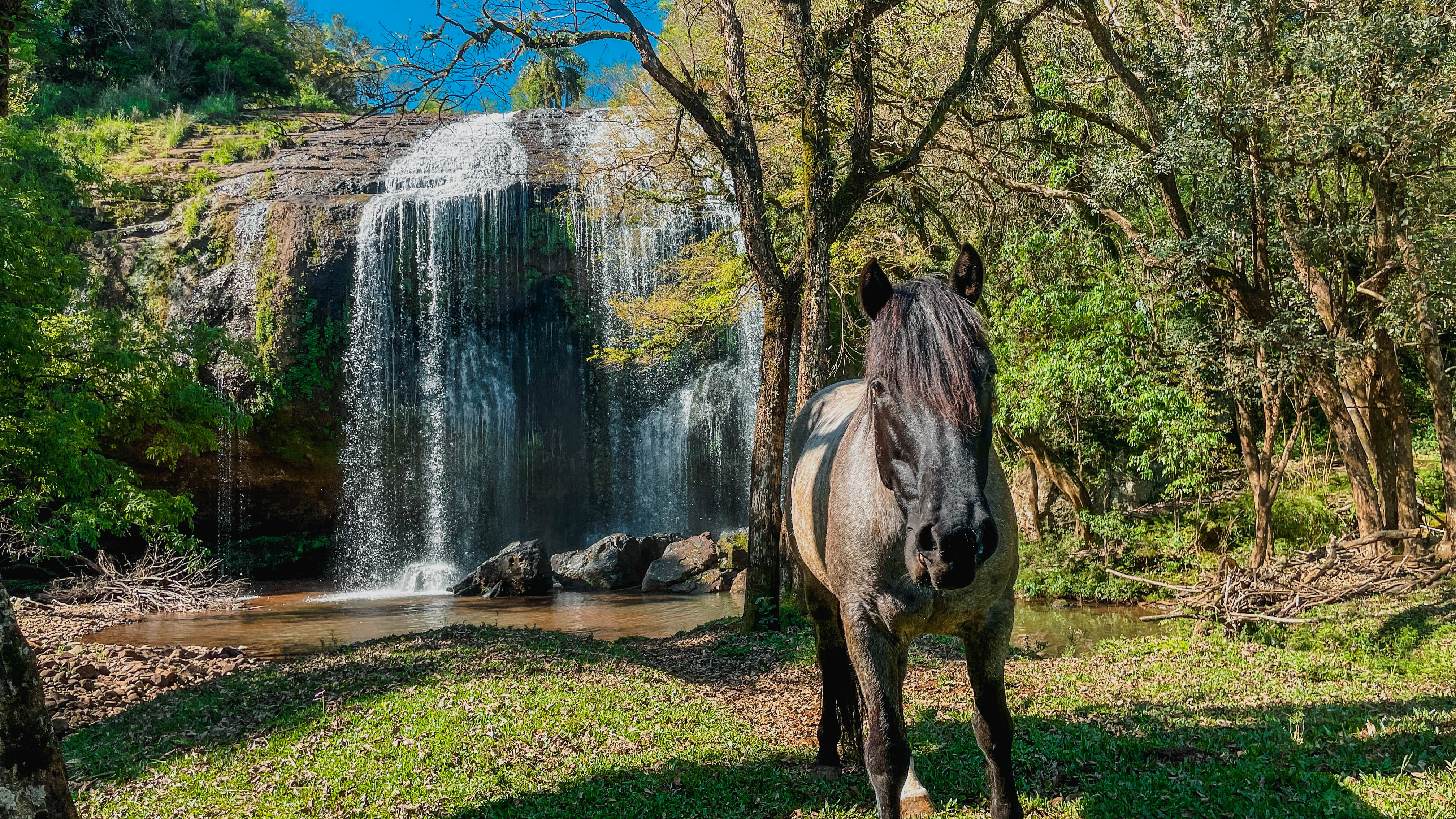 Além da cachoeira, ali também há um cavalo super simpático. Foto: Jessica Edel / Notas de Viagem